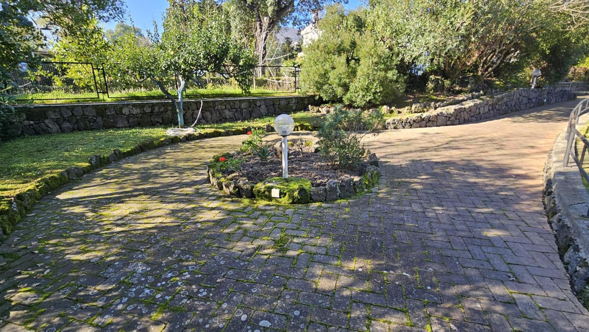 Villa Lia - Ischia Porto Exteriér fotografie
