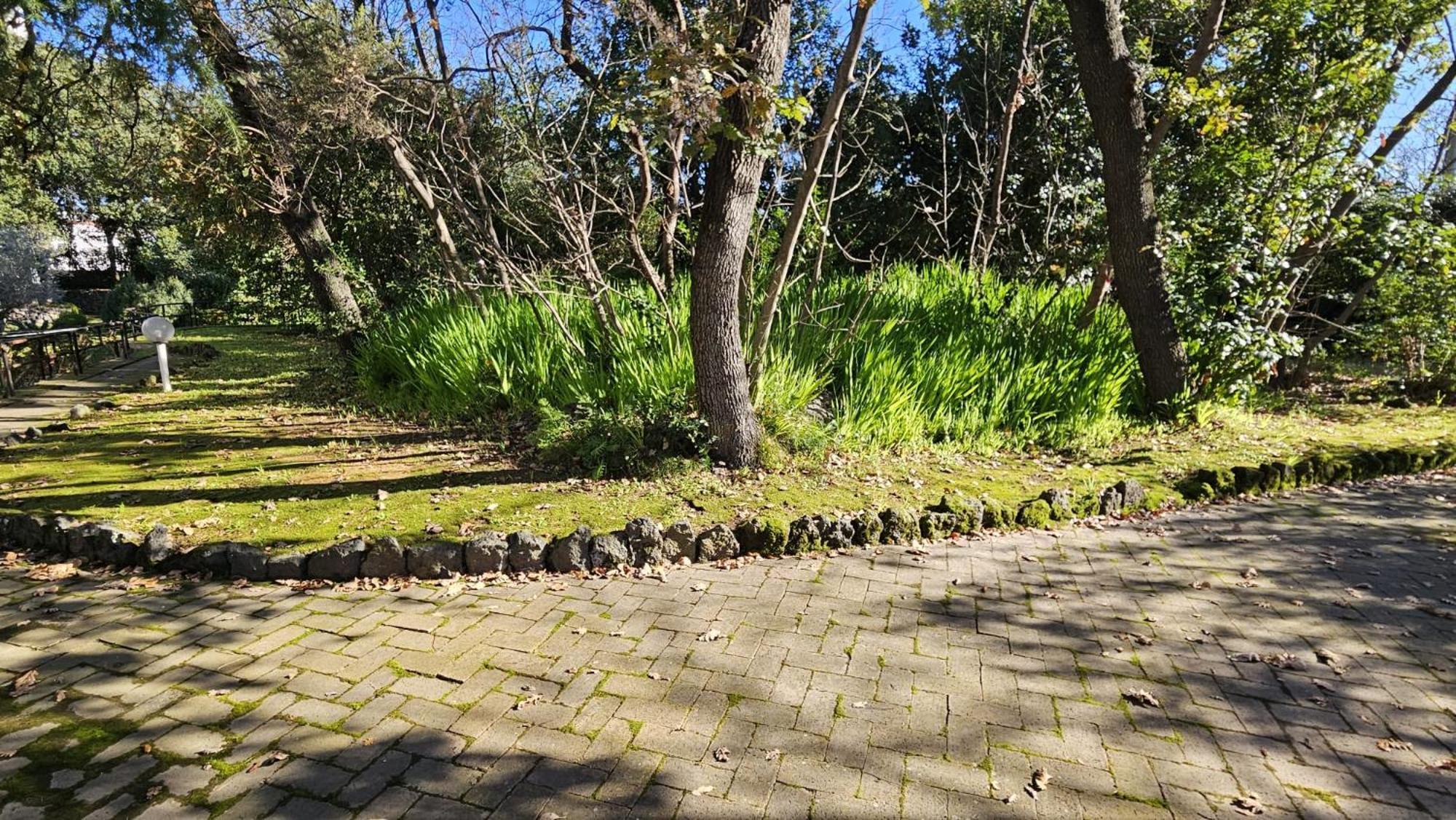 Villa Lia - Ischia Porto Exteriér fotografie