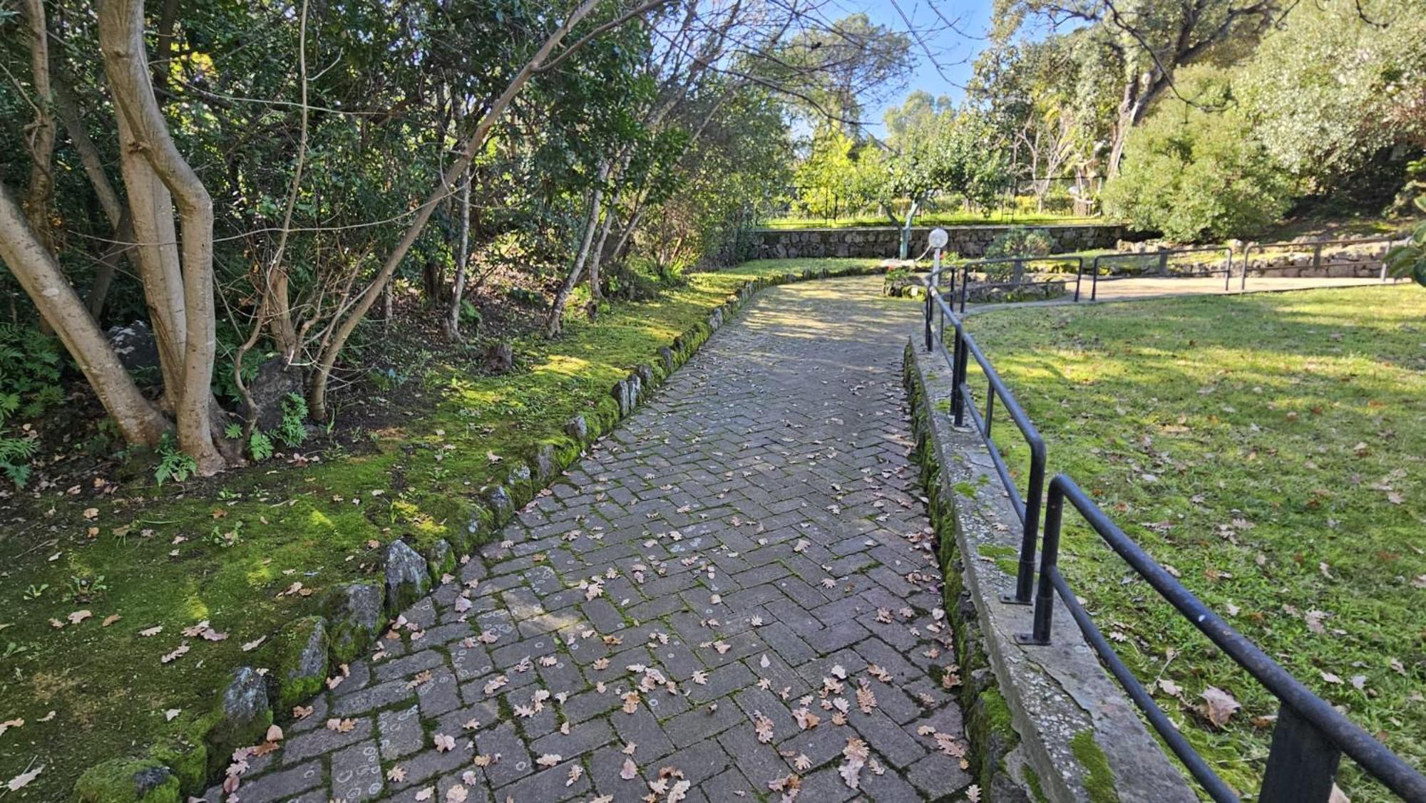 Villa Lia - Ischia Porto Exteriér fotografie