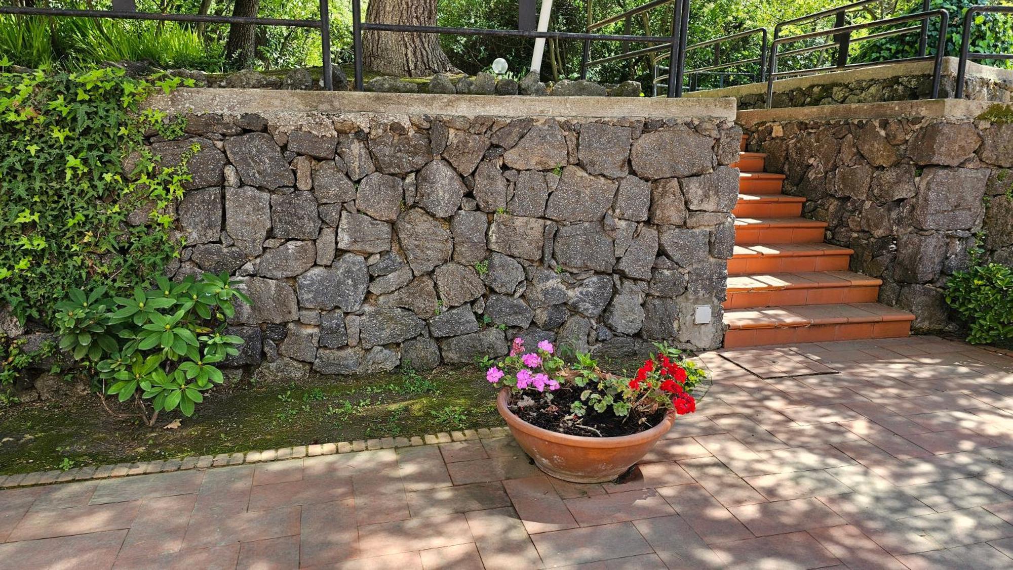Villa Lia - Ischia Porto Exteriér fotografie
